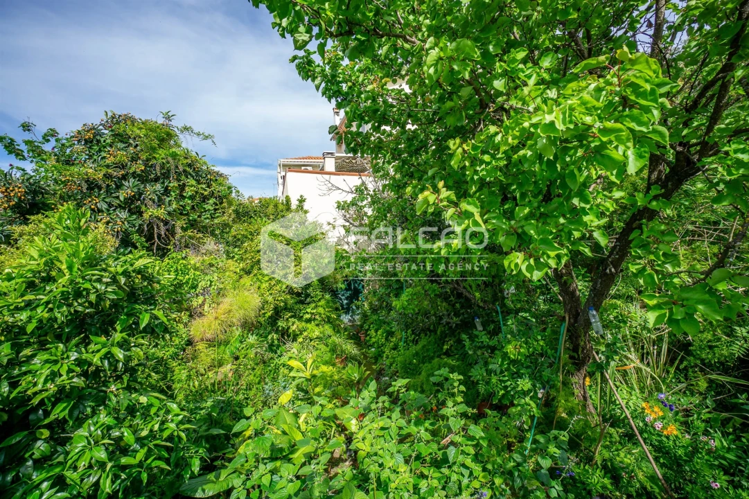 Moradia T7 para Venda em Marvila, Ribeira Santarém, São Salvador, São Nicolau Foto 65