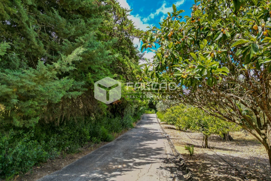 Moradia T4 para Venda em Moçarria Foto 8