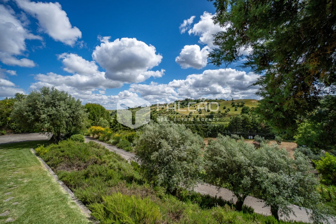 Moradia T4 para Venda em Moçarria Foto 23