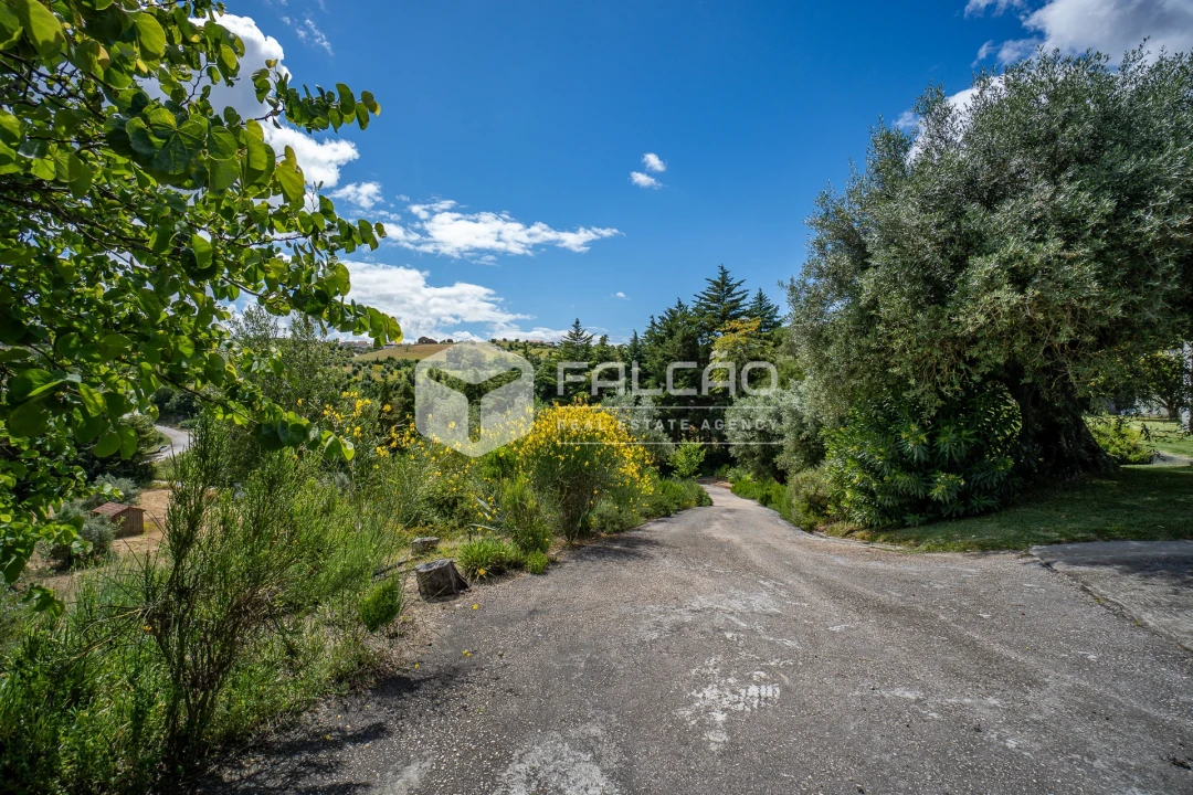 Moradia T4 para Venda em Moçarria Foto 16