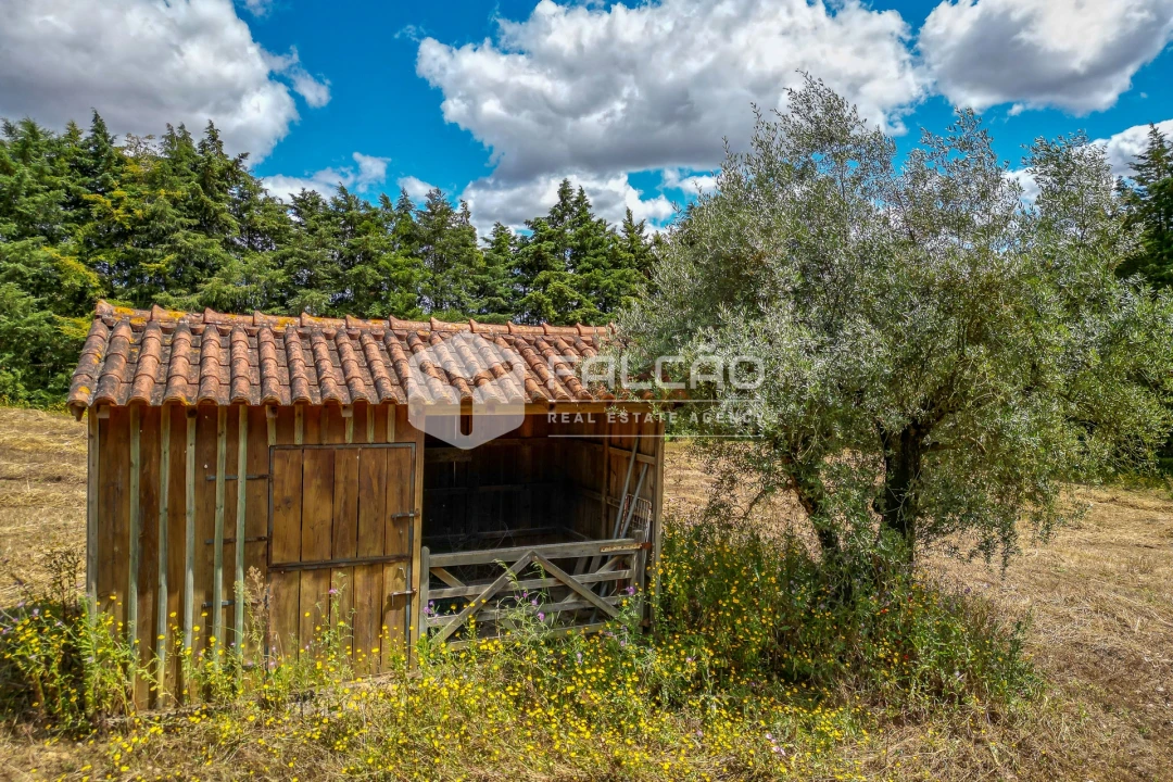 Moradia T4 para Venda em Moçarria Foto 7