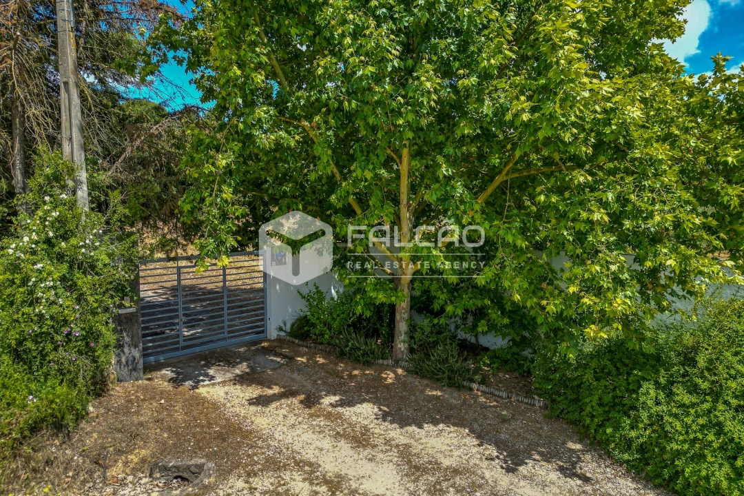 Moradia T4 para Venda em Moçarria Foto 6