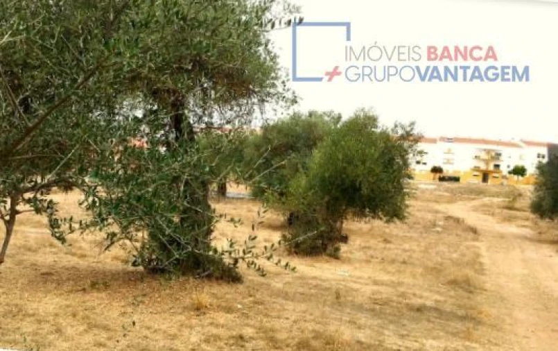 Terreno para Venda em Serpa (Salvador e Santa Maria) Foto 3