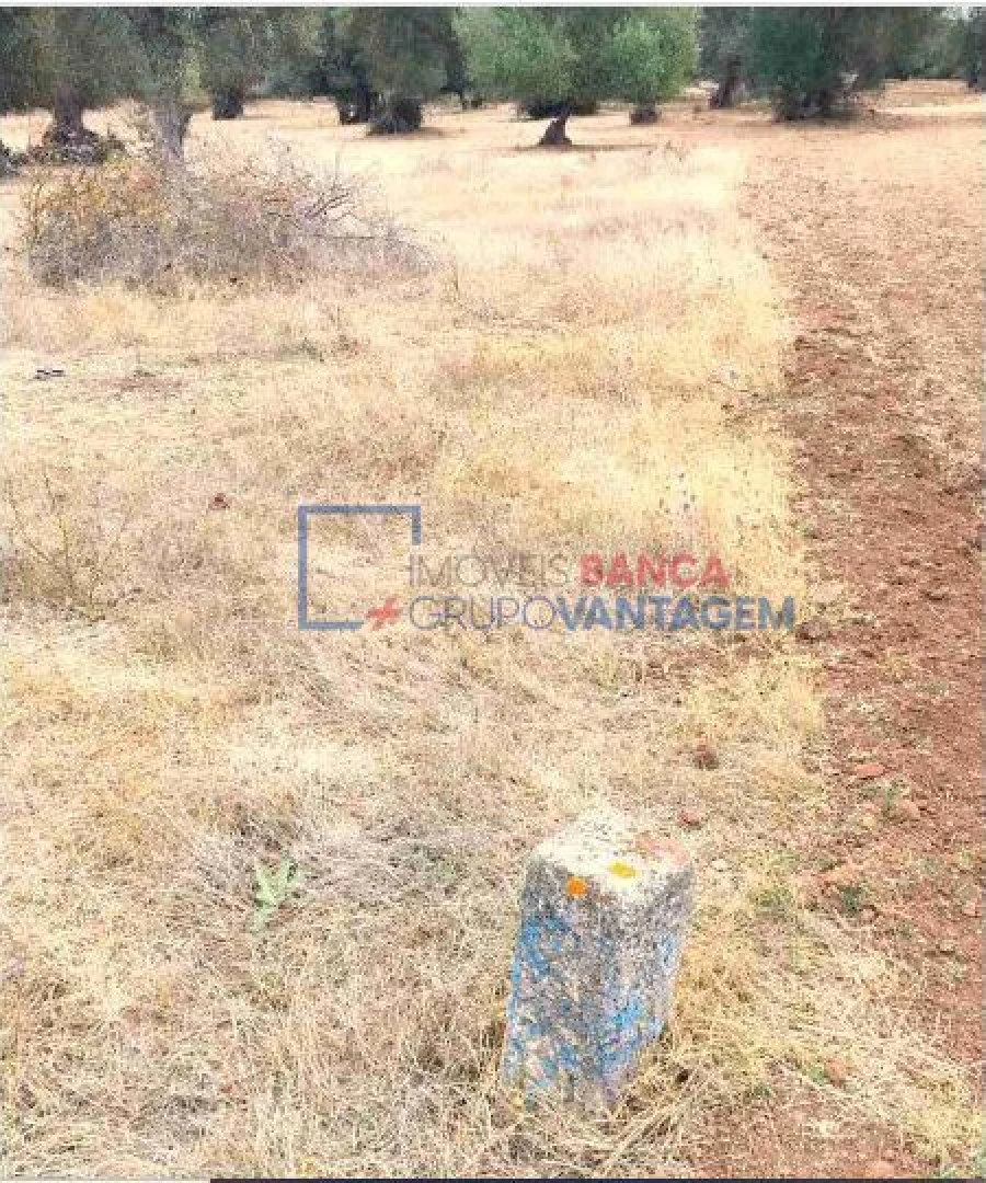 Terreno para Venda em Serpa (Salvador e Santa Maria) Foto 12