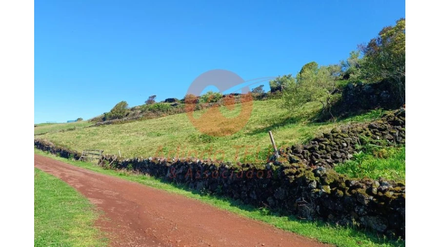 Terreno para Venda em Santo Amaro Foto 8