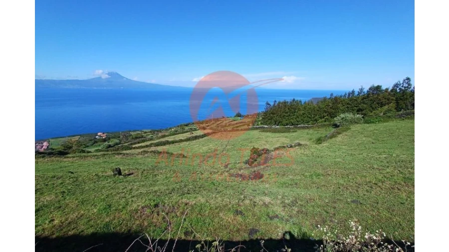 Terreno para Venda em Santo Amaro