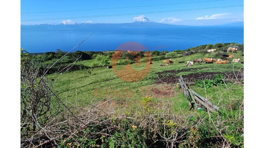 Terreno para Venda em Santo Amaro Foto 4