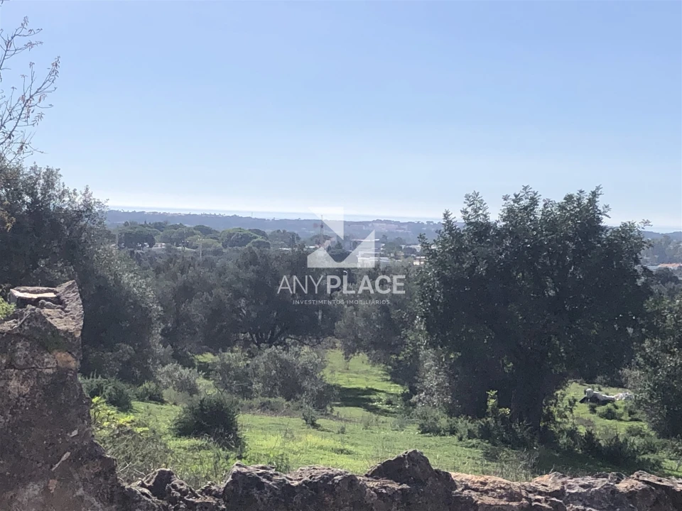 Terreno para Venda em Boliqueime Foto 4