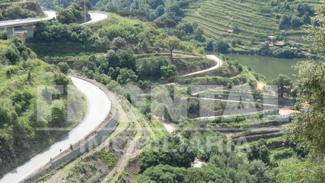 Terreno para Venda em Santa Marinha do Zezere Foto 9