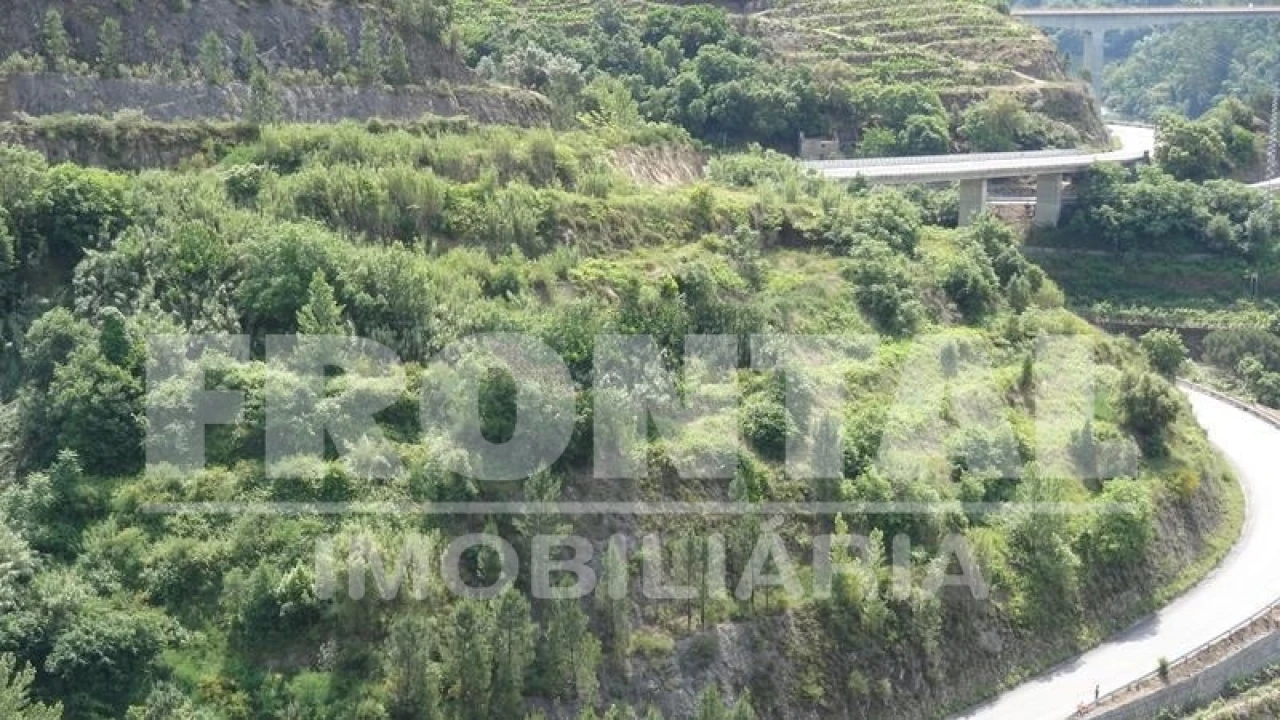 Terreno para Venda em Santa Marinha do Zezere Foto 10
