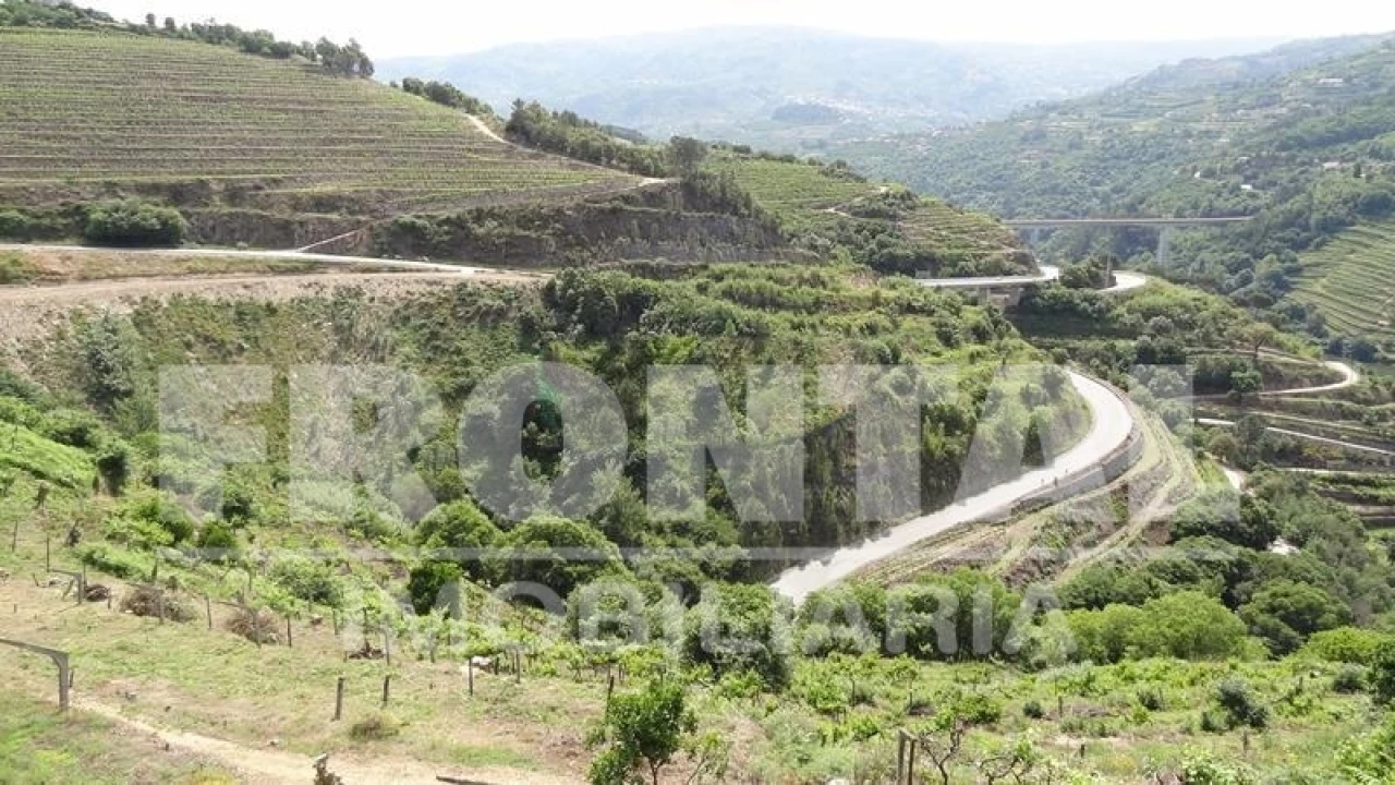 Terreno para Venda em Santa Marinha do Zezere Foto 8