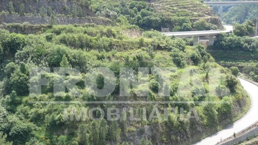 Terreno para Venda em Santa Marinha do Zezere Foto 10