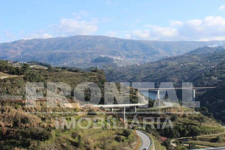 Terreno para Venda em Santa Marinha do Zezere Foto 12