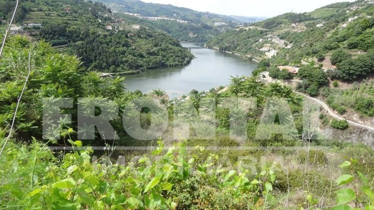 Terreno para Venda em Santa Marinha do Zezere Foto 2