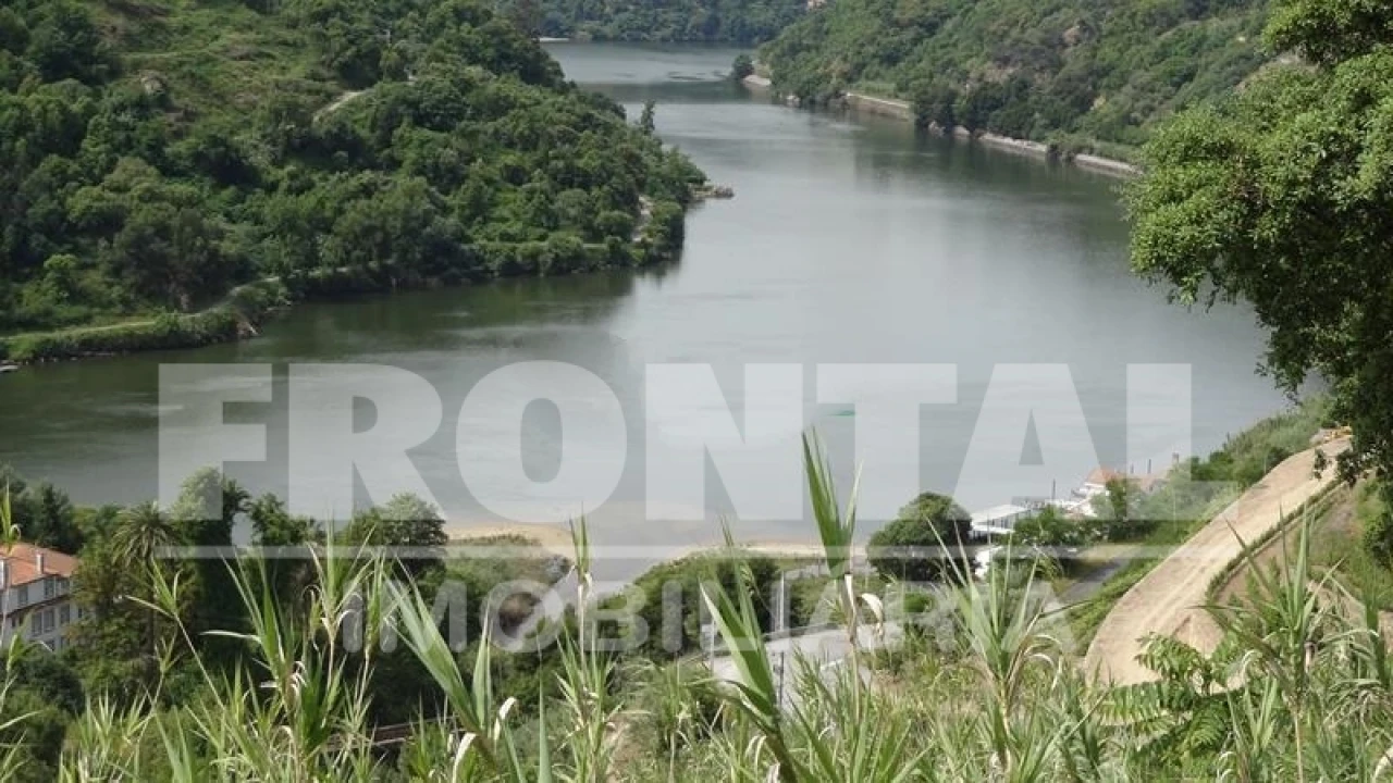 Terreno para Venda em Santa Marinha do Zezere Foto 5