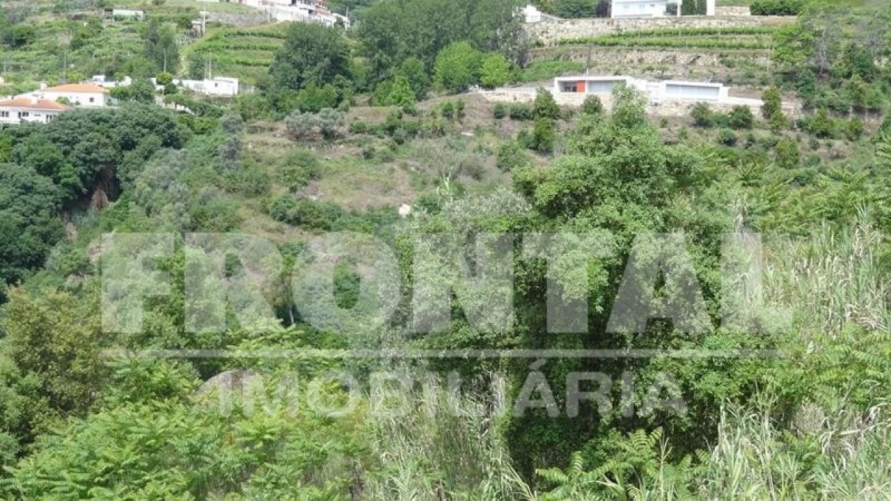 Terreno para Venda em Santa Marinha do Zezere Foto 6