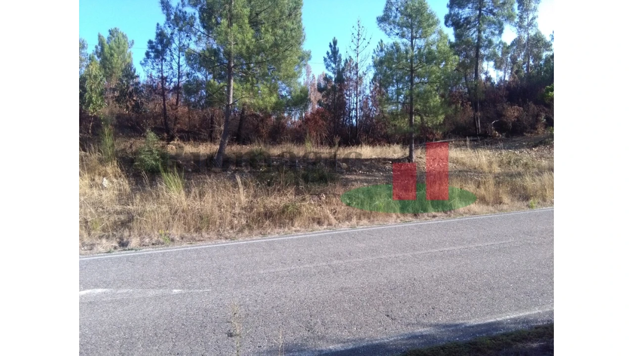 Terreno para Venda em Cardigos Foto 1