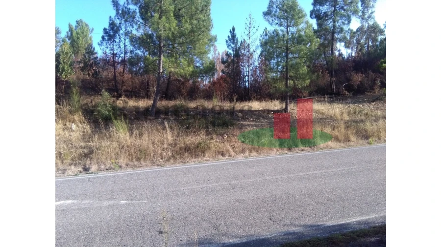 Terreno para Venda em Cardigos