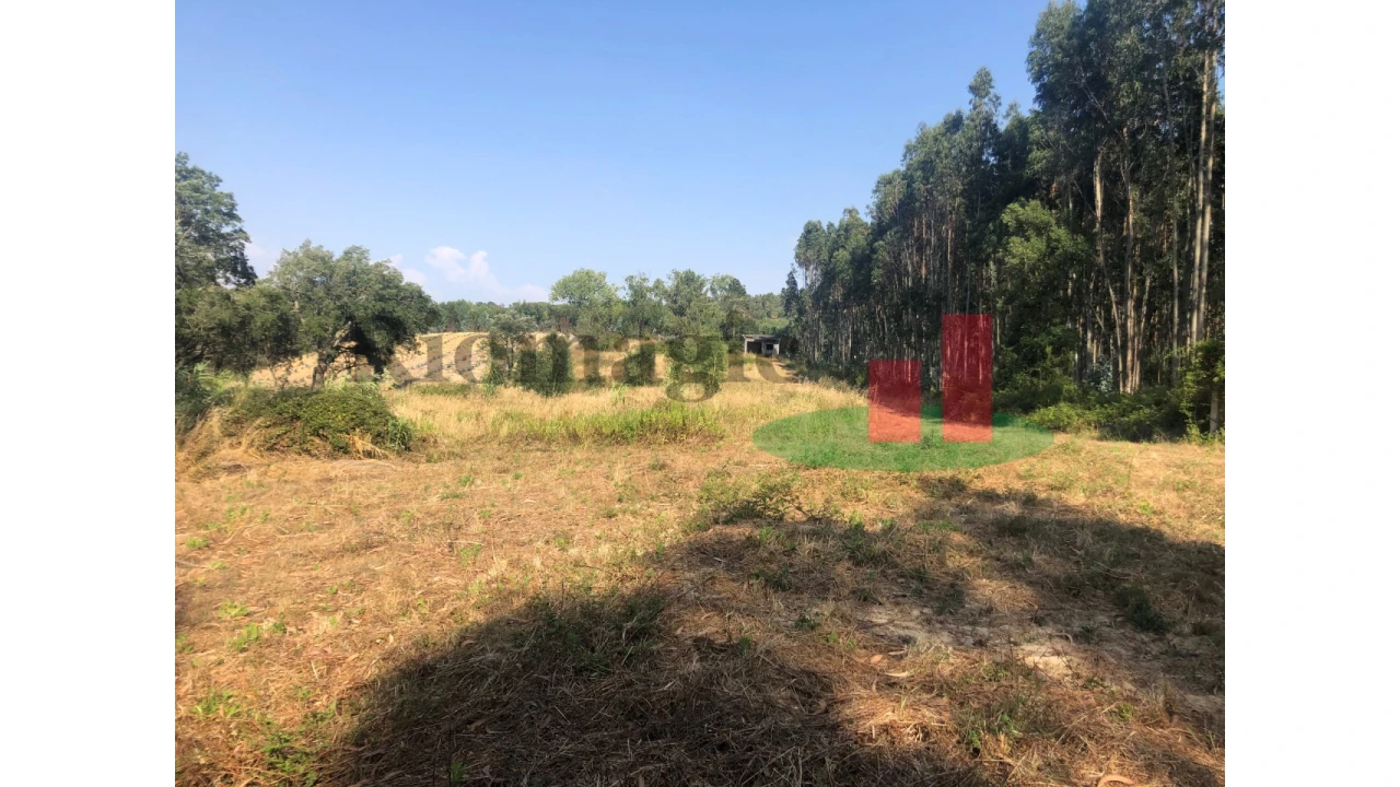 Terreno para Venda em Asseiceira Foto 7