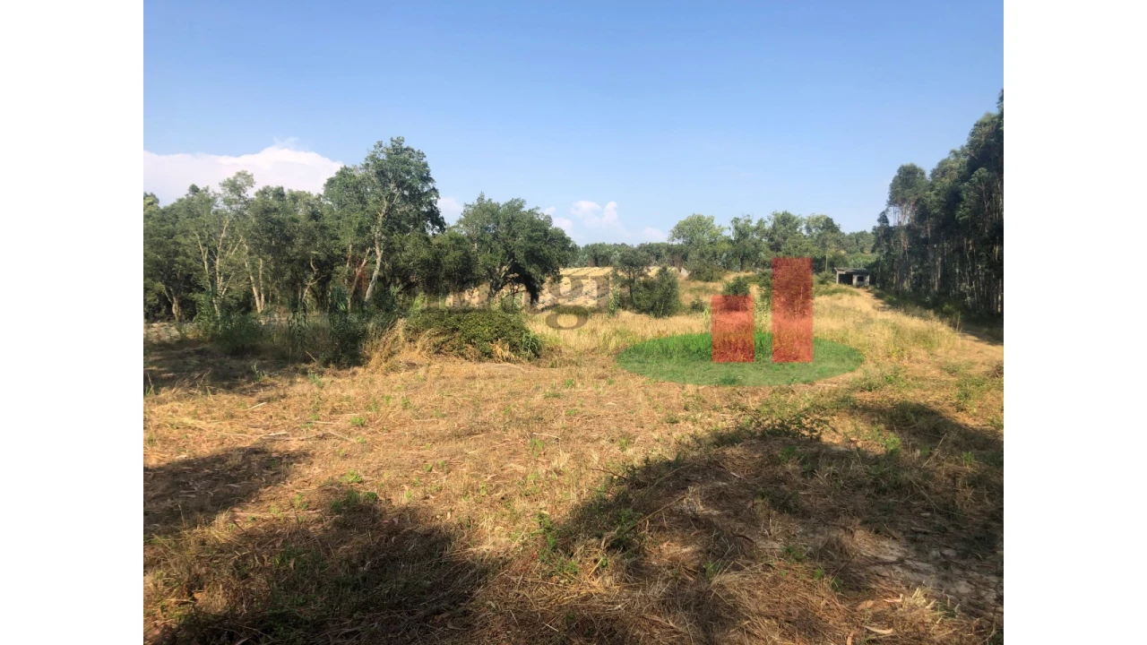 Terreno para Venda em Asseiceira Foto 6