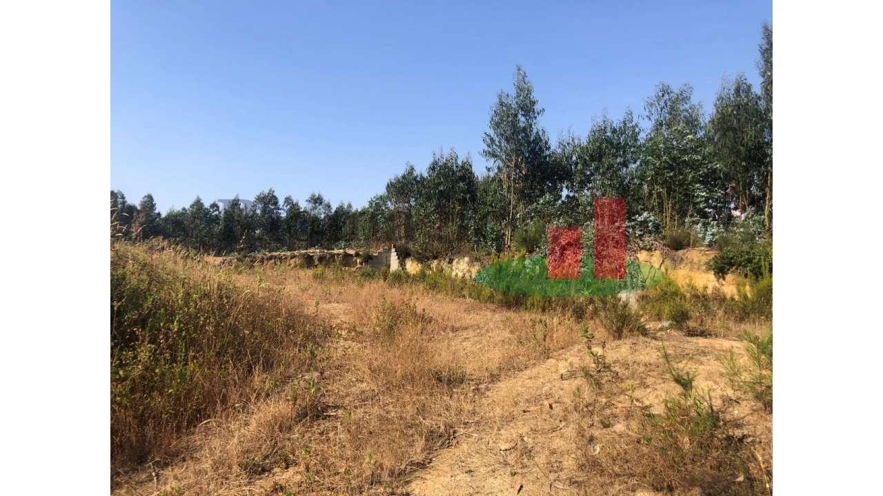 Terreno para Venda em Asseiceira Foto 9