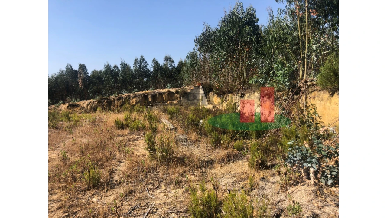 Terreno para Venda em Asseiceira Foto 11