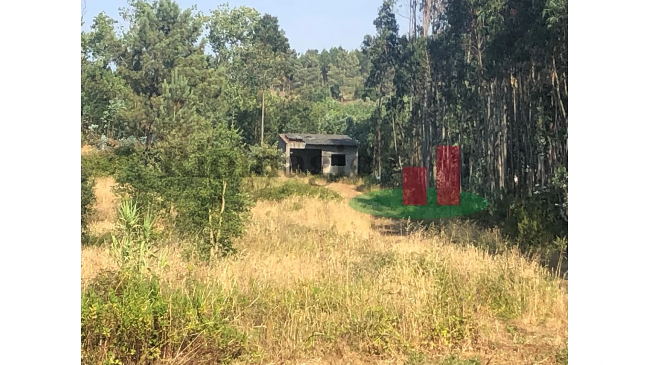 Terreno para Venda em Asseiceira Foto 13