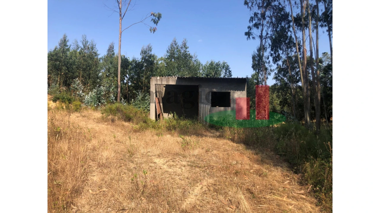 Terreno para Venda em Asseiceira Foto 14