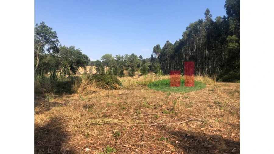Terreno para Venda em Asseiceira Foto 8