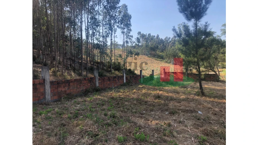 Terreno para Venda em Asseiceira Foto 5
