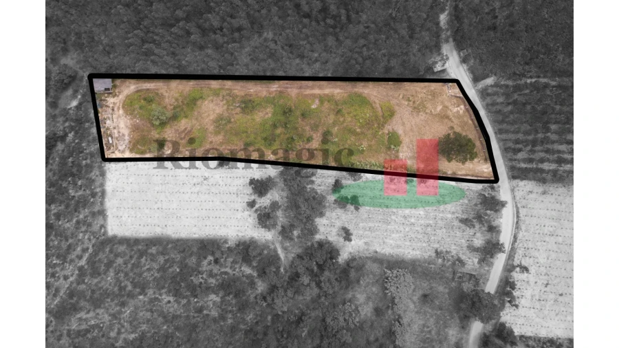 Terreno para Venda em Asseiceira Foto 3