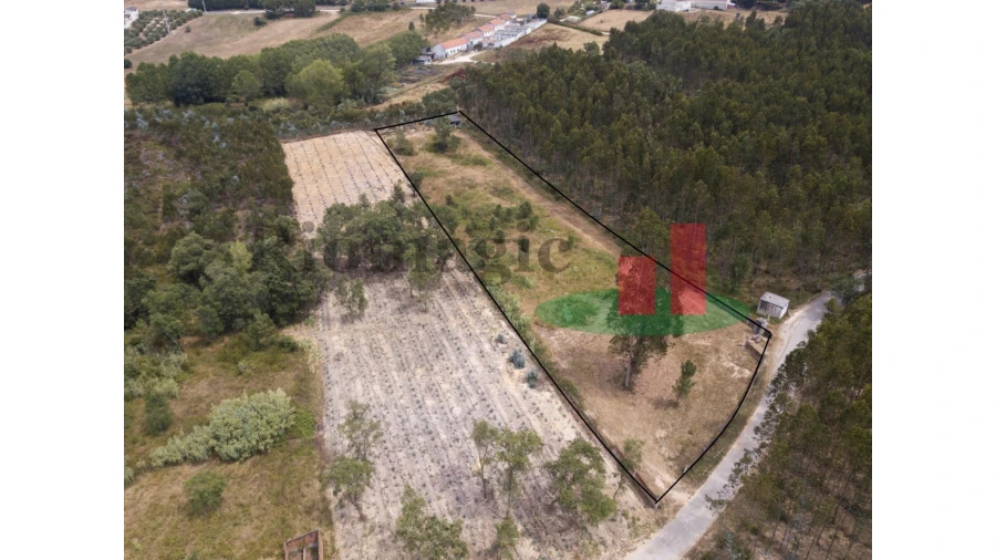 Terreno para Venda em Asseiceira