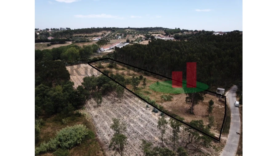 Terreno para Venda em Asseiceira Foto 16