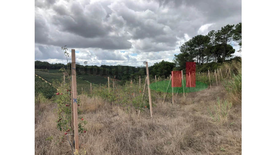 Terreno para Venda em Carvalhal Benfeito Foto 6