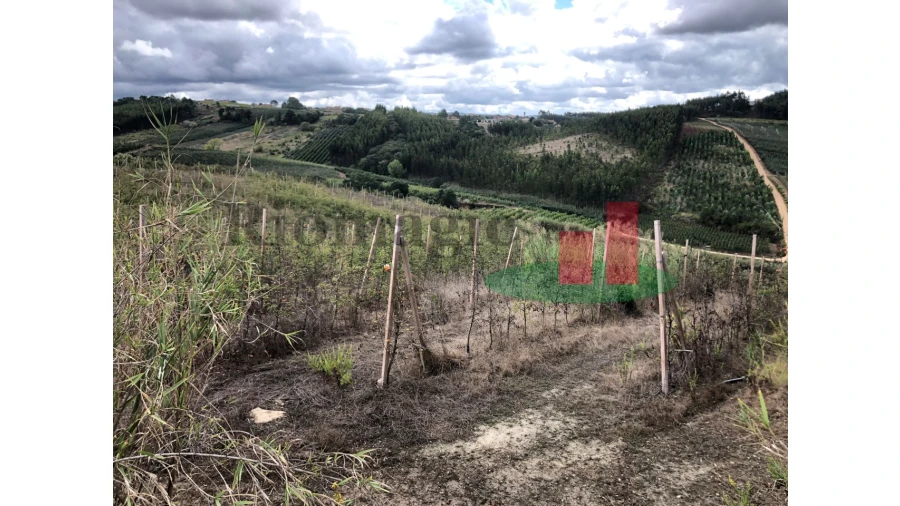 Terreno para Venda em Carvalhal Benfeito Foto 1