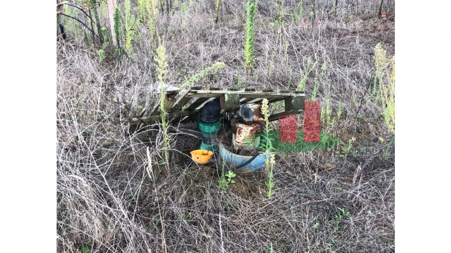 Terreno para Venda em Carvalhal Benfeito Foto 8
