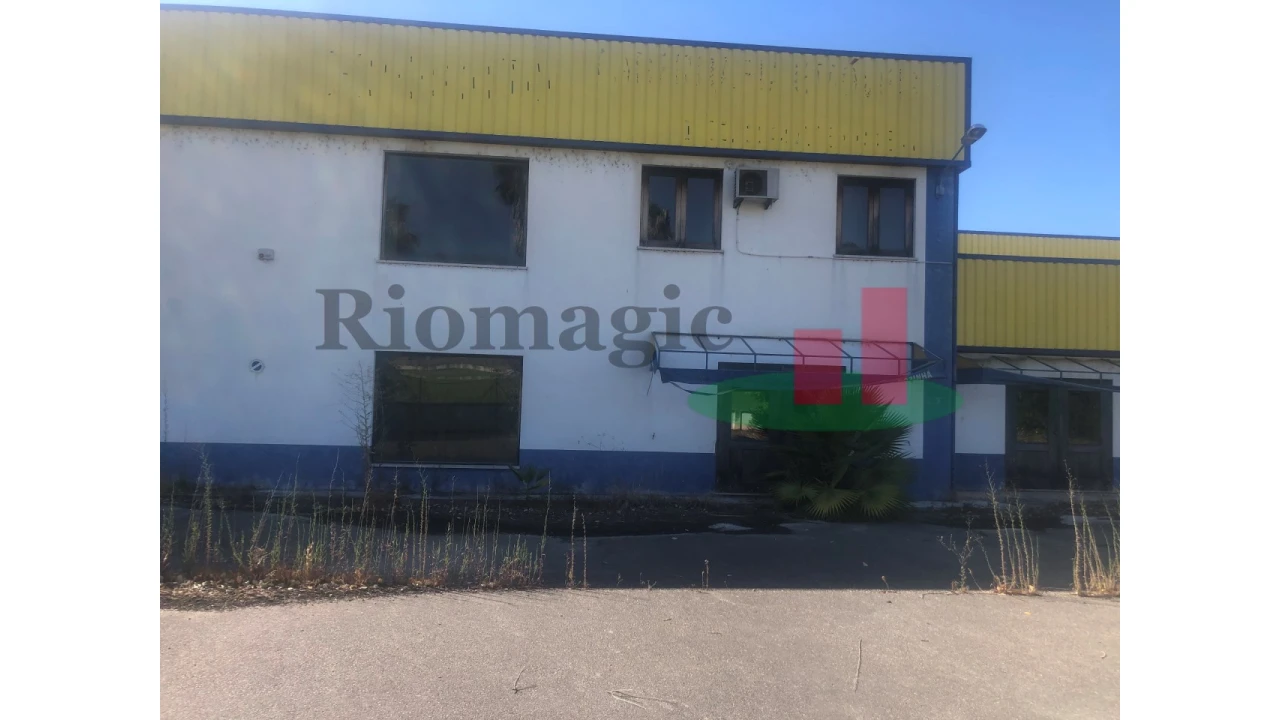 Armazém para Venda em Chamusca e Pinheiro Grande Foto 14