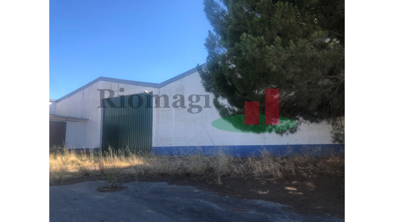 Armazém para Venda em Chamusca e Pinheiro Grande Foto 23