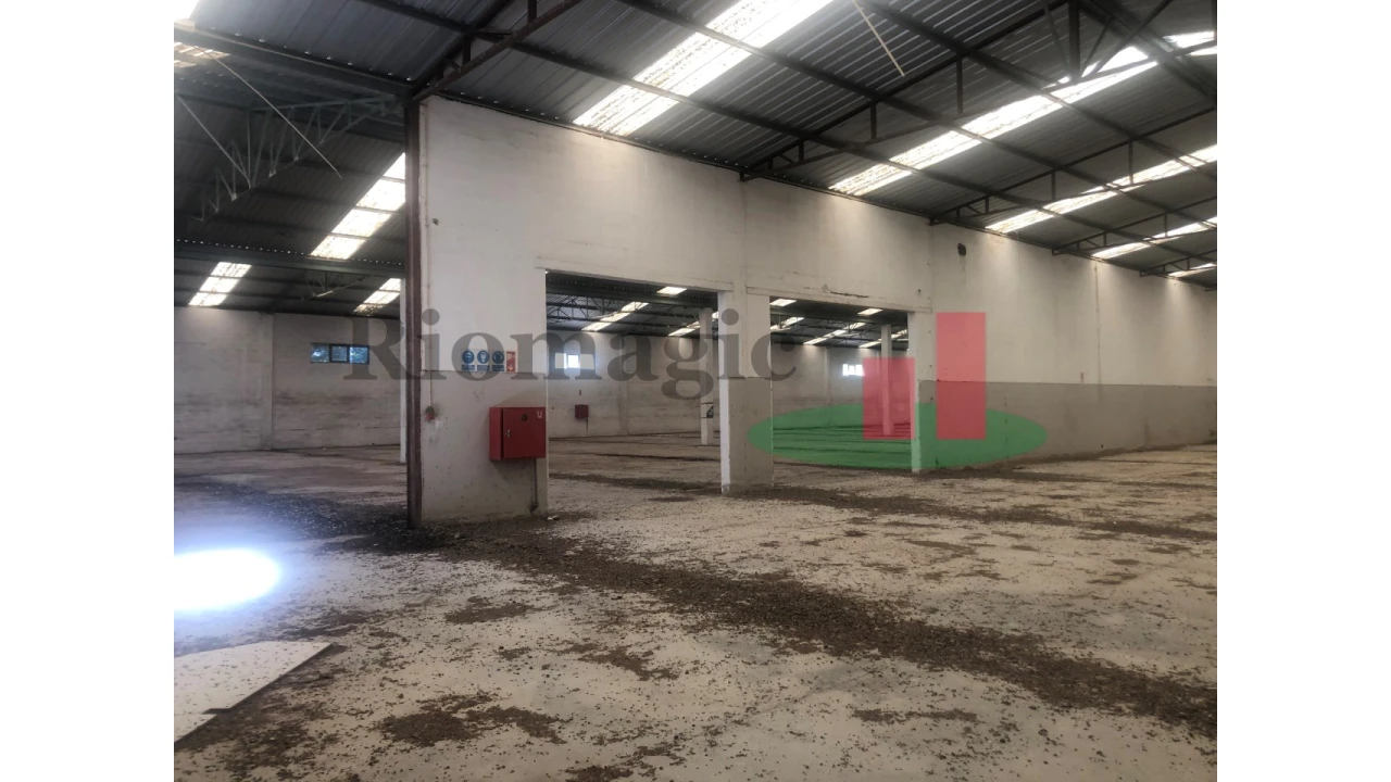 Armazém para Venda em Chamusca e Pinheiro Grande Foto 56