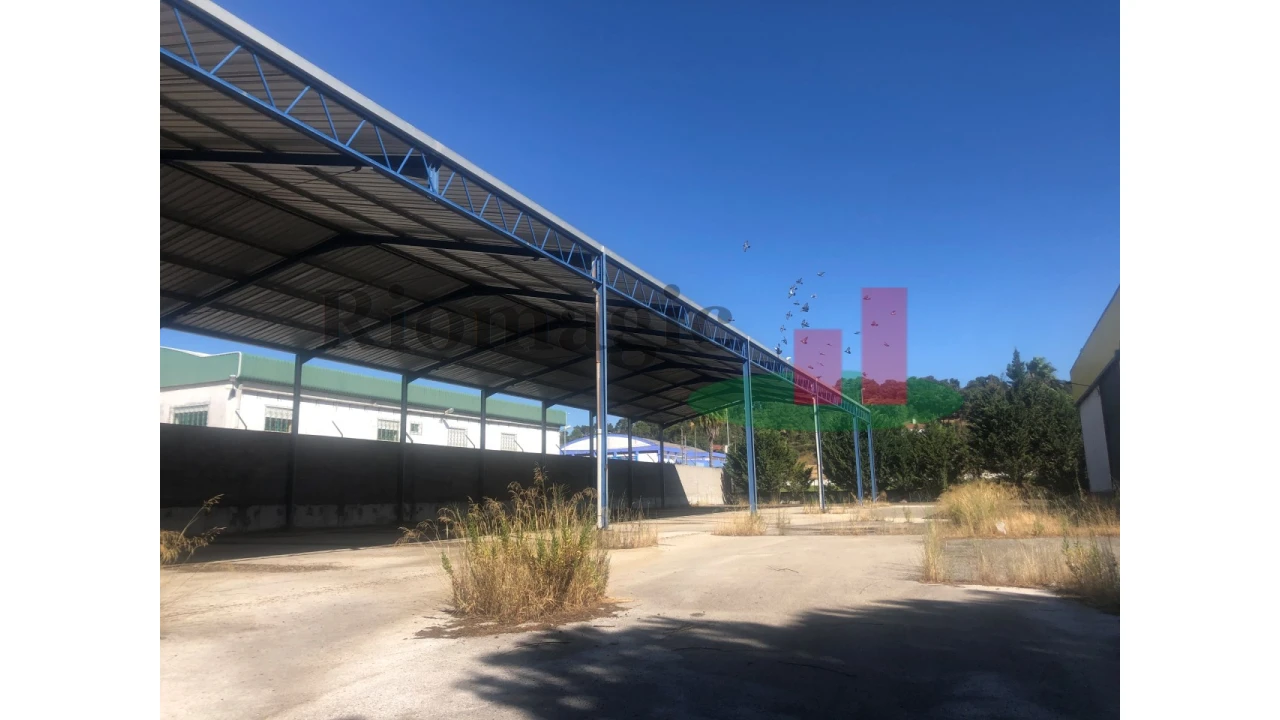Armazém para Venda em Chamusca e Pinheiro Grande Foto 26