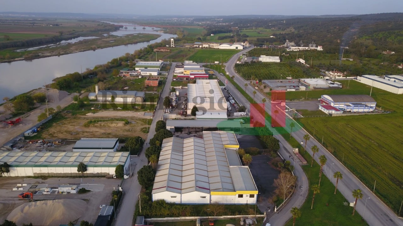 Armazém para Venda em Chamusca e Pinheiro Grande Foto 6