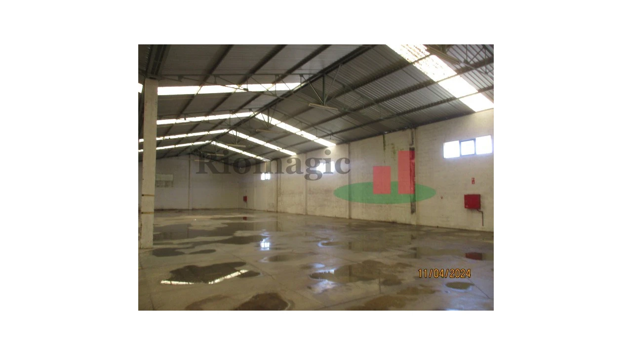 Armazém para Venda em Chamusca e Pinheiro Grande Foto 59