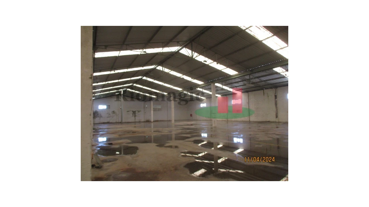 Armazém para Venda em Chamusca e Pinheiro Grande Foto 61