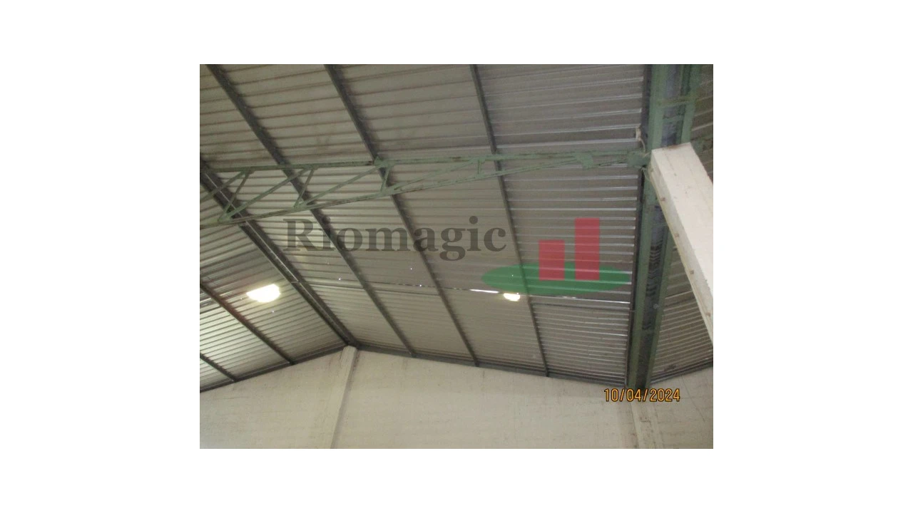 Armazém para Venda em Chamusca e Pinheiro Grande Foto 66