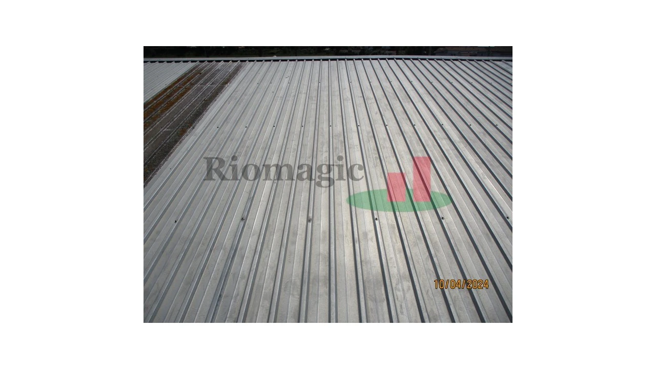 Armazém para Venda em Chamusca e Pinheiro Grande Foto 69