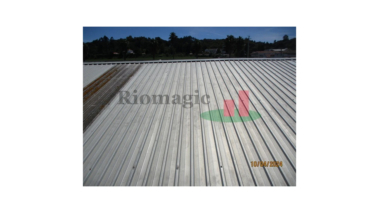 Armazém para Venda em Chamusca e Pinheiro Grande Foto 70