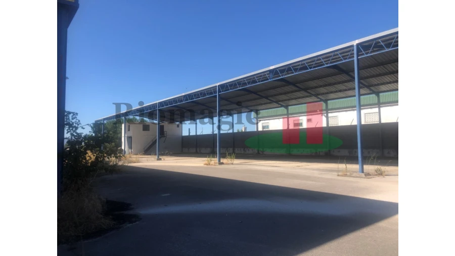 Armazém para Venda em Chamusca e Pinheiro Grande Foto 19