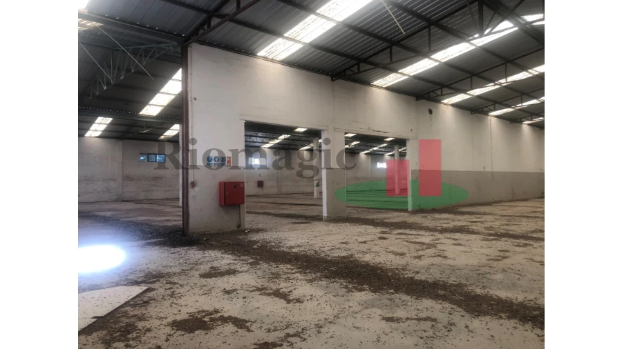 Armazém para Venda em Chamusca e Pinheiro Grande Foto 56