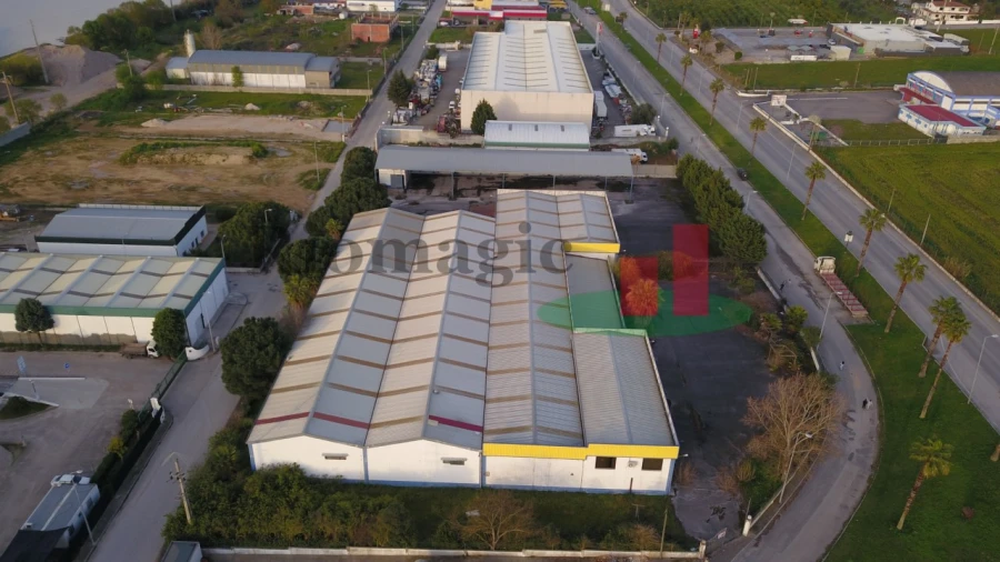 Armazém para Venda em Chamusca e Pinheiro Grande Foto 7