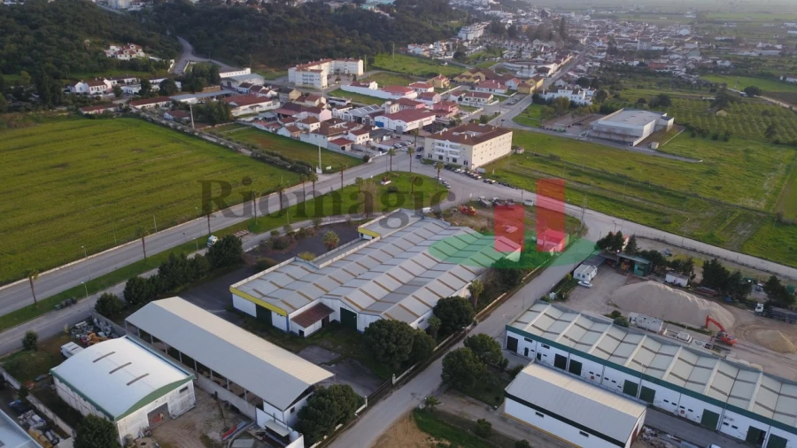 Armazém para Venda em Chamusca e Pinheiro Grande Foto 10